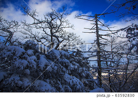 小白山 雪景色 樹林 63592830