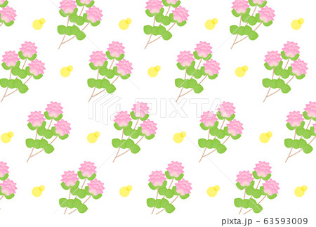 オレガノケントビューティー 63593009