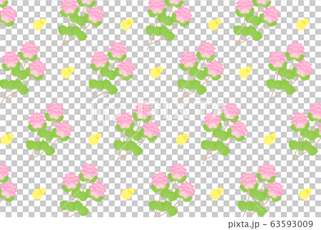 オレガノケントビューティー 63593009