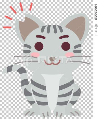 去勢手術と耳カットをした地域猫の男の子 63593964