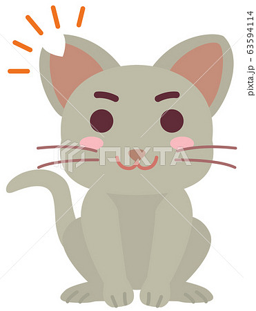 去勢手術と耳カットをした地域猫の男の子 63594114