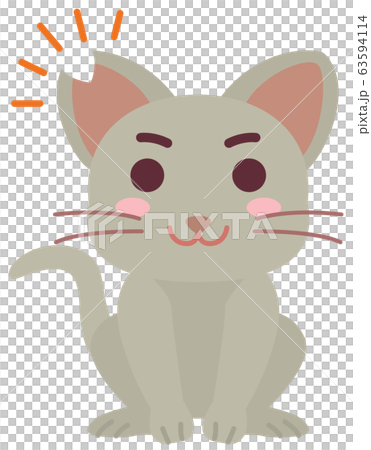 去勢手術と耳カットをした地域猫の男の子 63594114