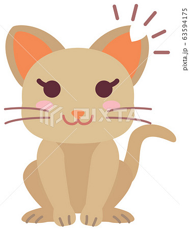 不妊手術と耳カットをした地域猫の女の子 63594175