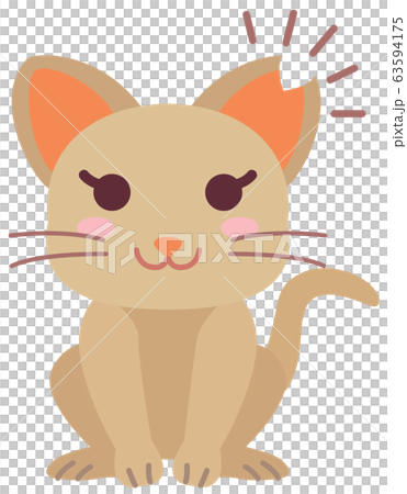 不妊手術と耳カットをした地域猫の女の子 63594175