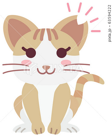 不妊手術と耳カットをした地域猫の女の子 63594222