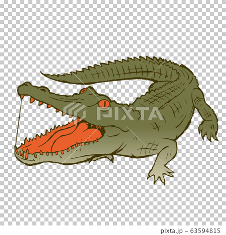 Illustration Of A Ferocious Crocodile Whole Body Stock Illustration