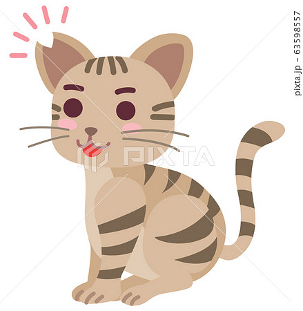 去勢手術と耳カットをした地域猫の男の子 63598557