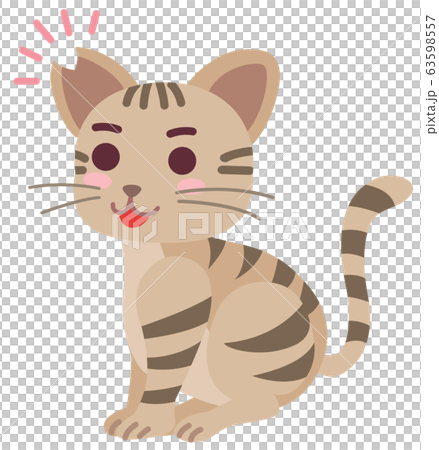 去勢手術と耳カットをした地域猫の男の子 63598557