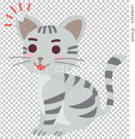 去勢手術と耳カットをした地域猫の男の子 63598647