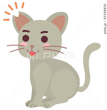 去勢手術と耳カットをした地域猫の男の子 63598856