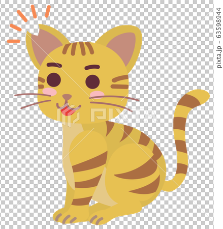 Local cat boy with castration surgery and ear cut 63598944