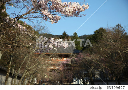 醍醐寺 醍醐寺 63599697