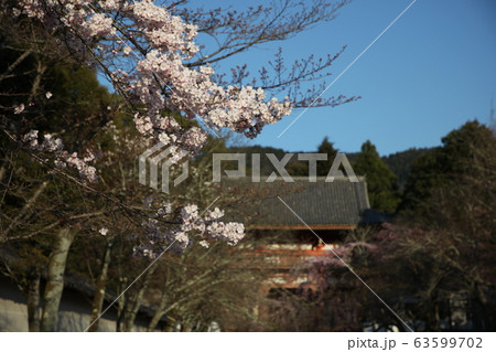 醍醐寺 醍醐寺 63599702