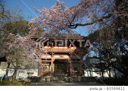 醍醐寺 醍醐寺 63599811