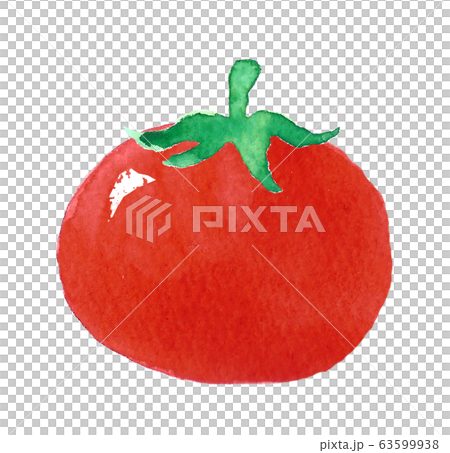 Tomato   63599938