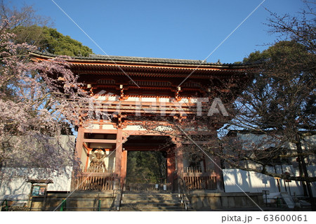 醍醐寺 63600061