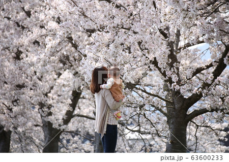 親子と桜 63600233