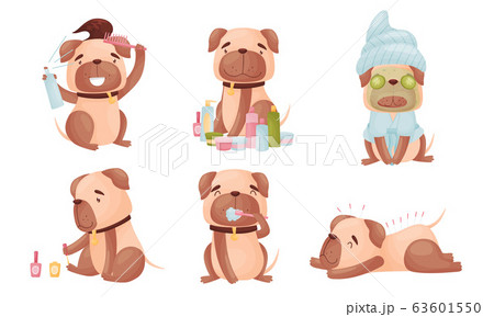 Cartoon Puppy Grooming Himself Brushing Teeth and Painting Claws Vector Set 63601550