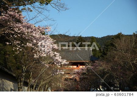 醍醐寺 63601784