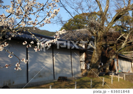 醍醐寺 63601848