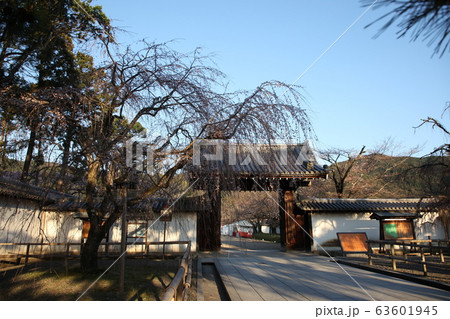 醍醐寺 醍醐寺 63601945
