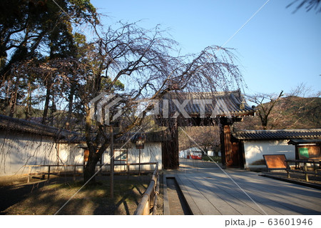 醍醐寺 醍醐寺 63601946