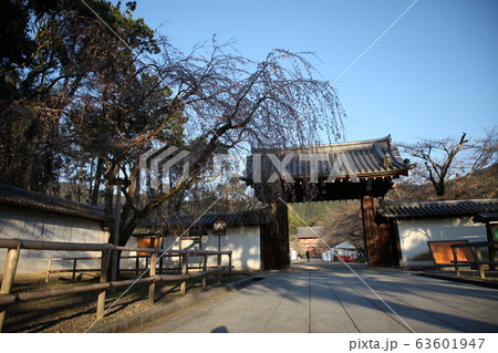 醍醐寺 醍醐寺 63601947