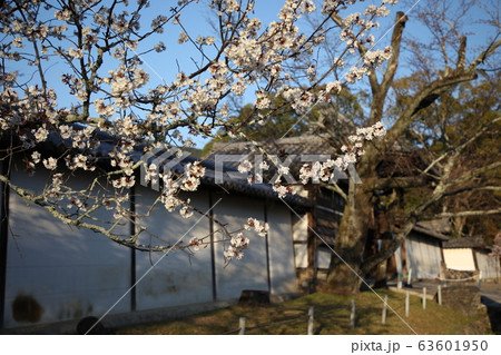 醍醐寺 醍醐寺 63601950