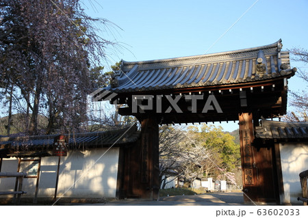 醍醐寺 63602033