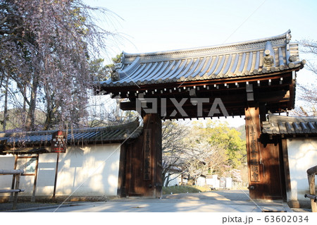 醍醐寺 63602034