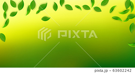 Falling green leaves. Fresh tea neat leaves flying 63602242