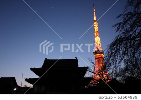 東京タワー　増上寺 63604939