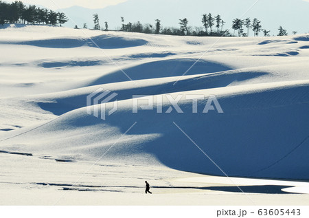 鳥取砂丘の雪風景 63605443