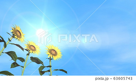 ひまわり　空　太陽 63605743