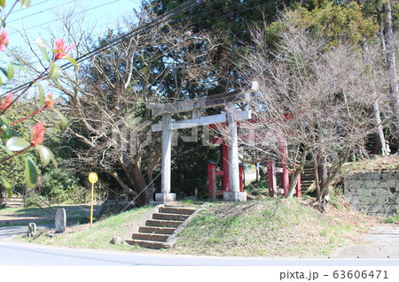 トトロ 63606471