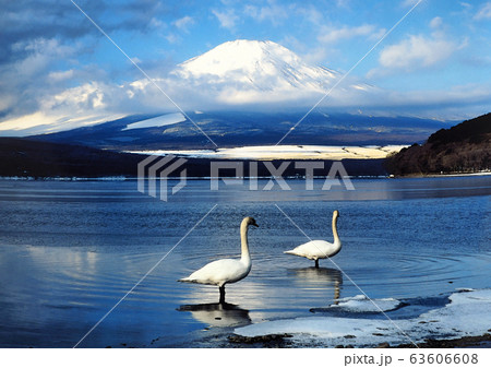 富士山 日本の風景 イラスト素材のイラスト素材
