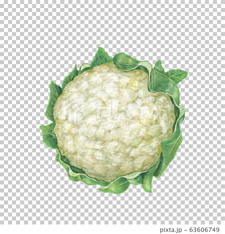 cauliflower  63606749