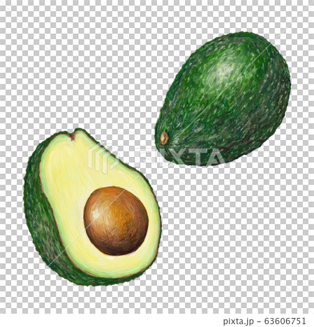 Avocado Avocado 63606751