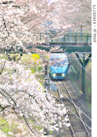 春の御殿場線 春の御殿場線 63606775