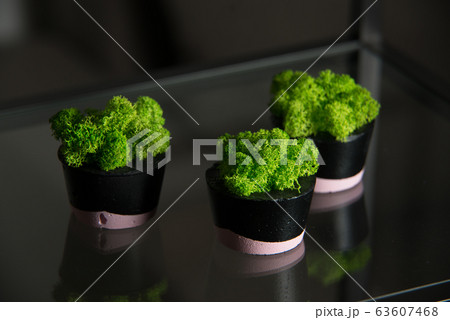 moss in black and pink concrete pot 63607468