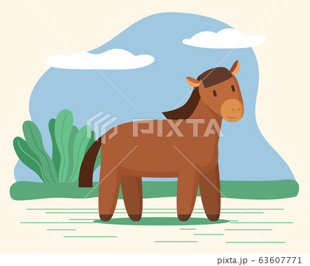 Horse or Stallion, Domestic Animal Stand on Meadow 63607771
