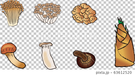 きのこ各種 63612520
