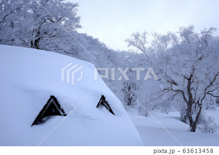 山形県蔵王の雪化粧 山形県蔵王の雪化粧 63613458