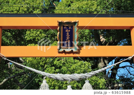 加支多神社 加支多神社 63615988