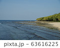 【宮崎】青島 鬼の洗濯板 63616225