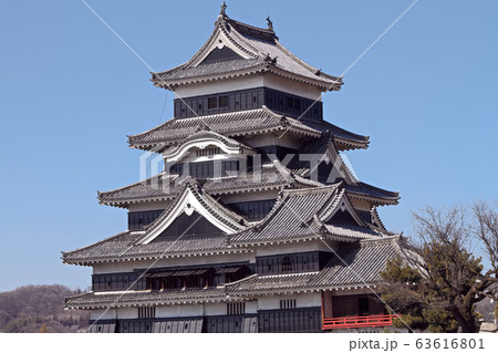 春の松本城の風景 春の松本城の風景 63616801