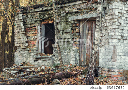 ruins of a brick house in Chernobyl 63617632