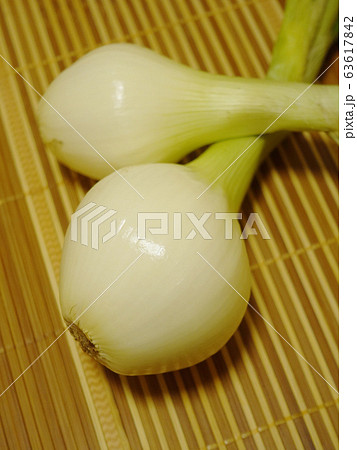 オーガニックイメージ（新たまねぎ：自然質感） 63617842