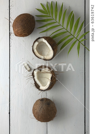 tree, green, clipart, palm tree, chocolate, tree, green, clipart, palm tree, chocolate, 63619742