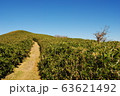 山道 63621492